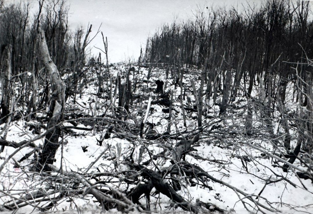 Zničený les na mieste nehody. Zdroj fotografie: Archiv bezpečnostních složek ČR.